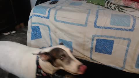 Snapshot of dream_real chatting on 10-12-25, 02:10 dreamreal online show from 10-12-25, 02:10