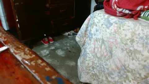 Snapshot of dream_real chatting on 10-28-25, 10:52 dreamreal online show from 10-28-25, 10:52