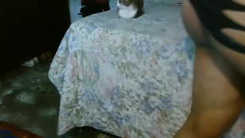 Snapshot of dream_real chatting on 10-31-25, 02:07 dreamreal online show from 10-31-25, 02:07