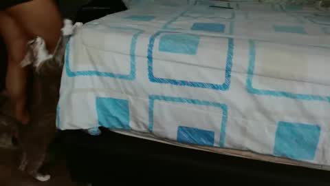 Snapshot of dream_real chatting on 11-01-25, 02:41 dreamreal online show from 11-01-25, 02:41