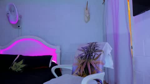 drippyorlove online show from 09-17-25, 08:21