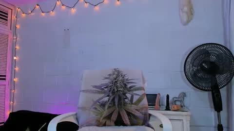 drippyorlove online show from 04-30-26, 01:39
