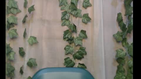 linda online show from 09-16-25, 03:02