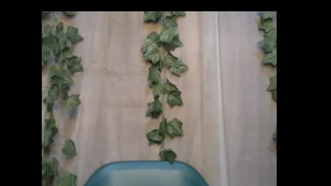 linda online show from 10-03-25, 08:50