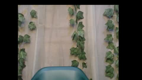 linda online show from 10-31-25, 01:39