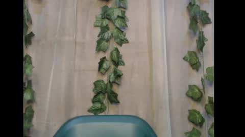 linda online show from 11-08-25, 01:06