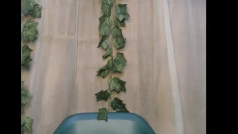 linda online show from 01-10-26, 05:37