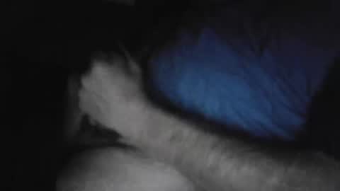 Snapshot of drthick1224 chatting on 11-03-25, 02:35 drthick1224 online show from 11-03-25, 02:35