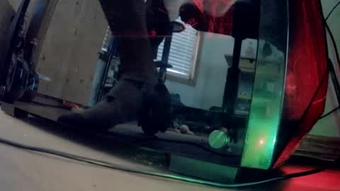 dsjwtw87 online show from 02-09-26, 06:01