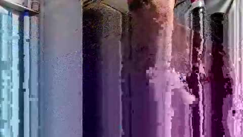 Snapshot of dsmock chatting on 10-01-25, 06:08 dsmock online show from 10-01-25, 06:08