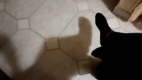 dthedog12 online show from 10-22-25, 01:50