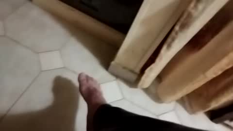 dthedog12 online show from 11-08-25, 10:30