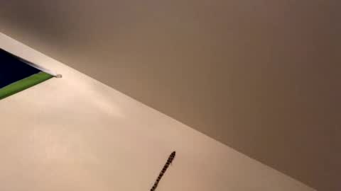 ducebabydee online show from 01-19-26, 09:13