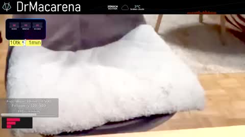 duck_door_mac_arena online show from 02-03-26, 06:22