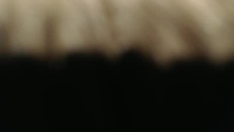 swiss kiss online show from 03-01-25, 07:15