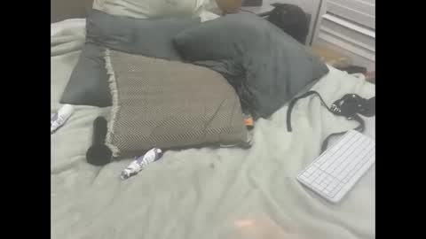 Dude online show from 02-18-26, 11:55