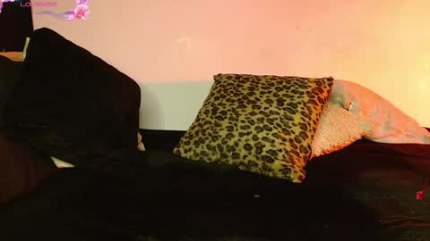   online show from 02-12-26, 01:33