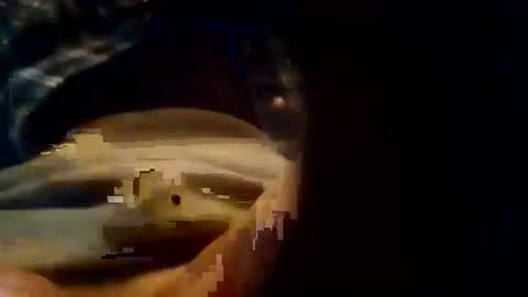 dusterdime online show from 10-08-25, 05:38