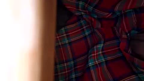 dVe1oPe online show from 11-08-25, 11:10