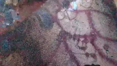 dwadek081704 online show from 11-02-25, 02:52