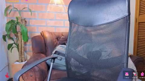 D Y L A N online show from 03-06-26, 02:41