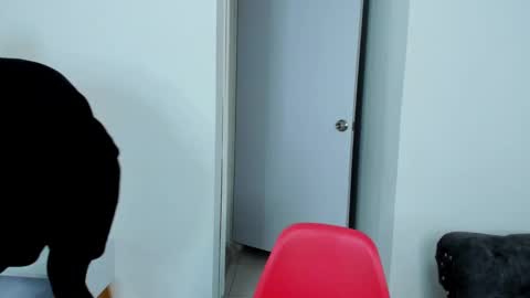 Dylan Taylor online show from 10-05-25, 04:00