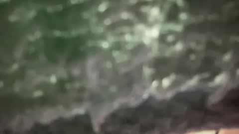 Snapshot of dzigi998 chatting on 02-02-25, 05:37 dzigi998 online show from 02-02-25, 05:37