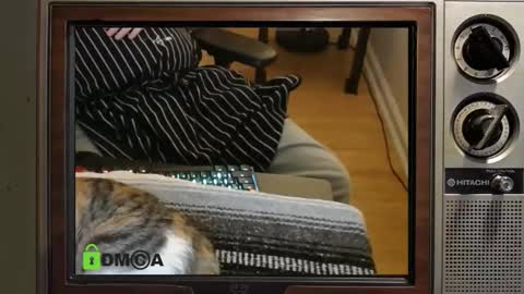 Snapshot of e8849c chatting on 11-08-25, 11:03 e8849c online show from 11-08-25, 11:03