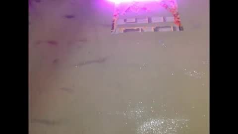 eatuupx online show from 12-19-25, 03:41