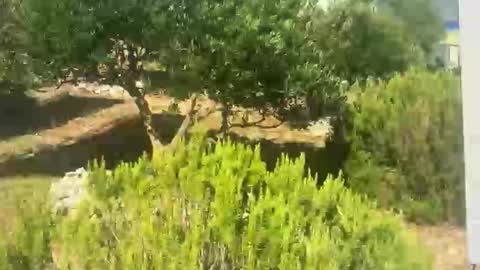 Snapshot of ebnk15 chatting on 09-30-25, 08:08 ebnk15 online show from 09-30-25, 08:08