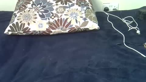 malika online show from 02-26-25, 02:36