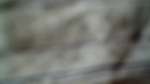 Snapshot of eddfox001 chatting on 06-14-26, 04:47 eddfox001 online show from 06-14-26, 04:47