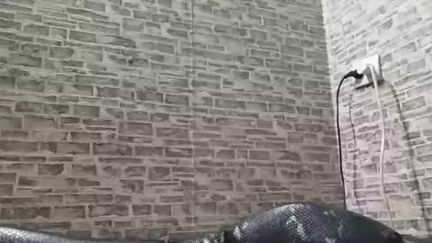 edithmanning online show from 03-06-25, 03:45