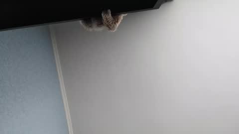 edithmanning online show from 03-13-26, 05:47