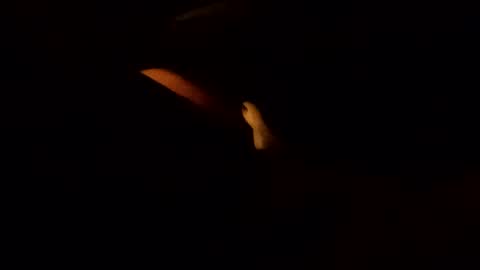 edmore1215 online show from 02-10-25, 05:36