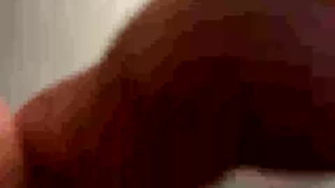 PiedPiper online show from 05-03-26, 11:27