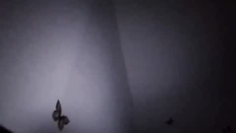 Ekspansion online show from 01-08-26, 04:37