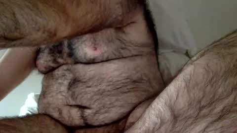 elabear online show from 12-23-24, 03:33