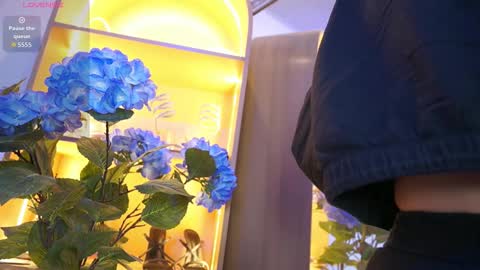 Elasummeer online show from 12-17-25, 12:00