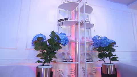 Elasummeer online show from 02-13-26, 11:50