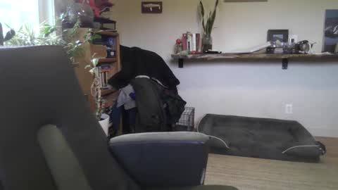 fox online show from 02-22-26, 07:01