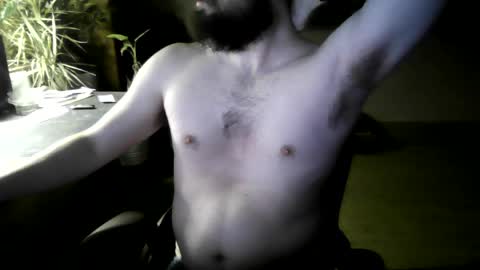 fox online show from 04-04-26, 04:44