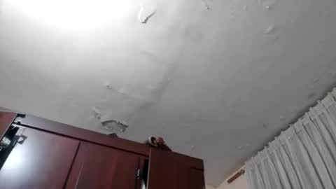 elianis598477 online show from 02-10-26, 10:08