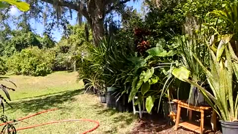 eliberator online show from 05-16-26, 07:23