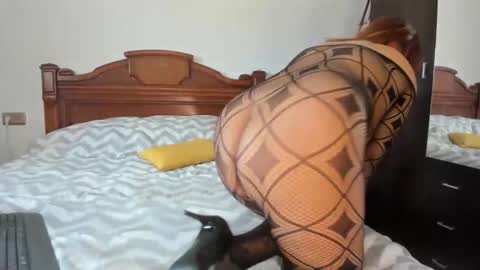 elifgirasol online show from 02-15-26, 11:52