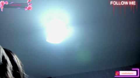 Snapshot of elise_leyton chatting on 11-15-25, 01:03 ELISE LEYTON online show from 11-15-25, 01:03