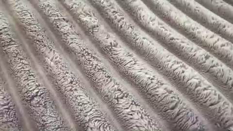 eliterd online show from 11-29-25, 07:39