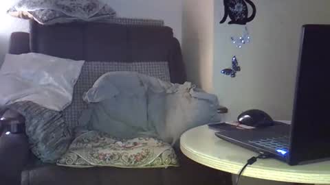 Snapshot of ellajohnsonx chatting on 03-15-26, 09:32 ellajohnsonx online show from 03-15-26, 09:32