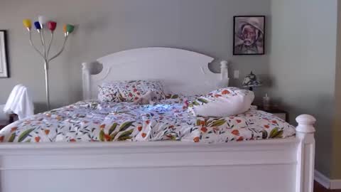 Snapshot of ellalowe chatting on 03-18-26, 06:44 ellalowe online show from 03-18-26, 06:44