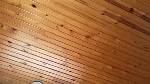 Snapshot of ellalowe chatting on 03-22-26, 02:53 ellalowe online show from 03-22-26, 02:53